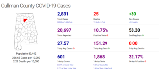 Cullman County COVID-19 update: Nov. 1