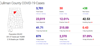 Cullman County COVID-19 update: Nov. 15
