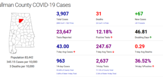 Cullman County COVID-19 update: Nov. 18