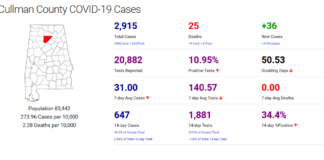 Cullman County COVID-19 update: Nov. 3