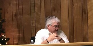 Vinemont council talks disc golf