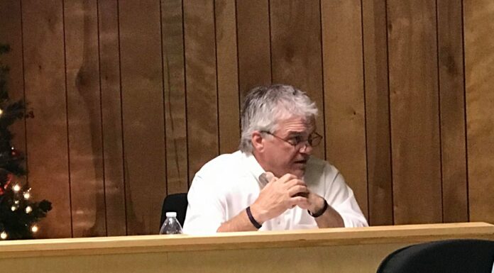 Vinemont council talks disc golf