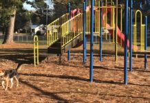 Explore: Take a stroll around Lions Club Park