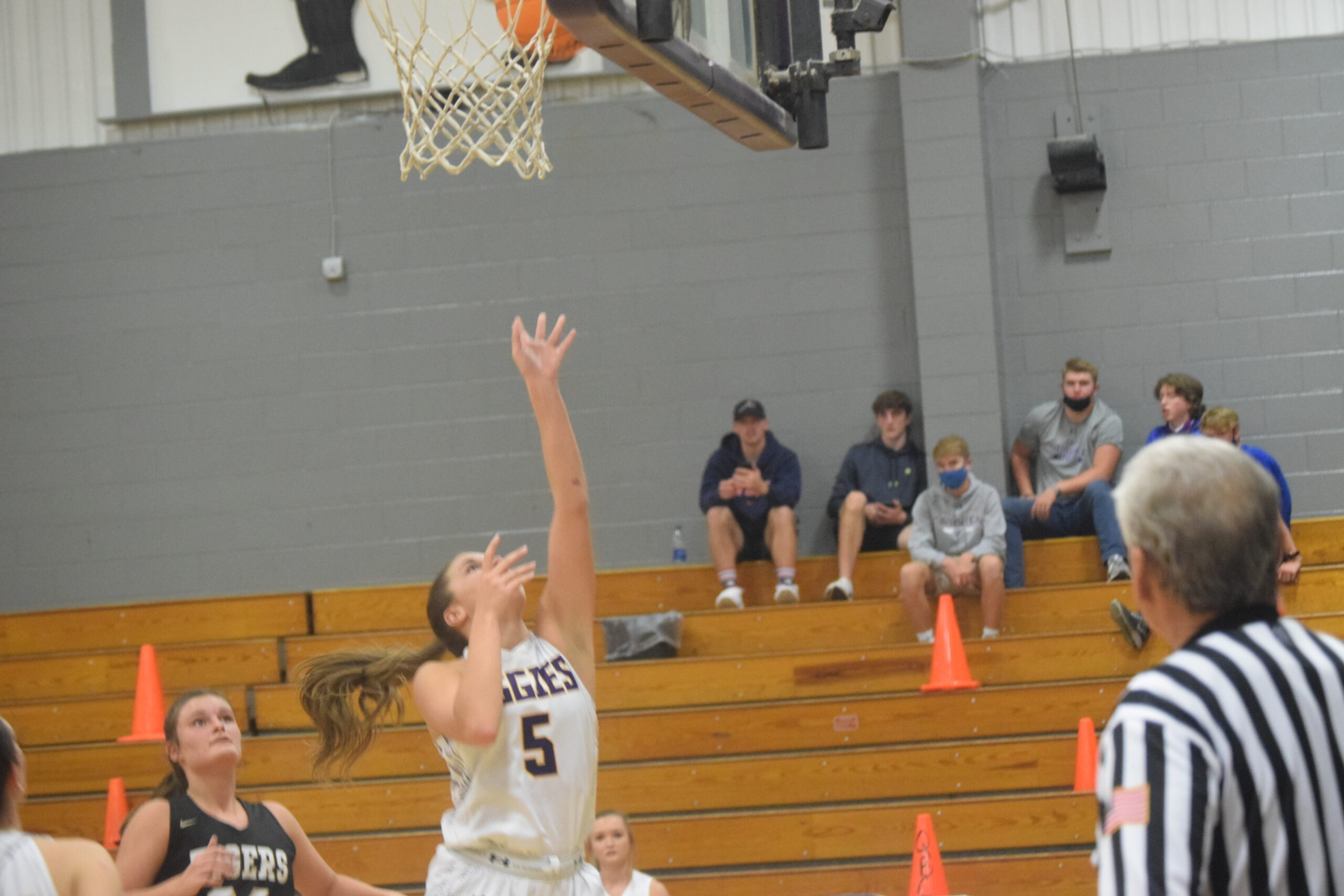 PREP BASKETBALL Hanceville, Fairview, Good Hope collect wins at