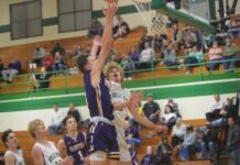 PREP BASKETBALL: Fairview picks up road sweep at Holly Pond