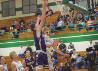 PREP BASKETBALL: Fairview picks up road sweep at Holly Pond