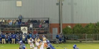 PREP FOOTBALL PLAYOFFS: Bulldogs fall at North Sand Mountain in round 2, 32-24