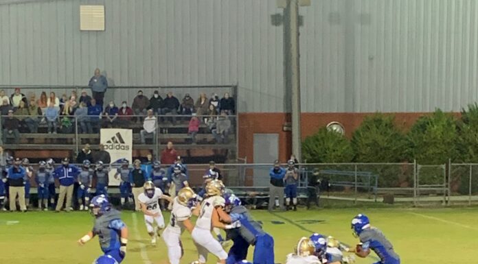 PREP FOOTBALL PLAYOFFS: Bulldogs fall at North Sand Mountain in round 2, 32-24