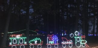 Seniors offered free admission to Winter Wonderland Dec. 18-20