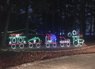 Seniors offered free admission to Winter Wonderland Dec. 18-20