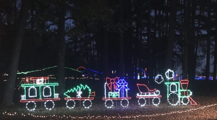 Seniors offered free admission to Winter Wonderland Dec. 18-20