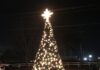 Hanceville’s Tinsel Trail, Tree Lighting, Open House Dec. 4
