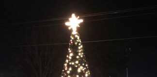 Hanceville’s Tinsel Trail, Tree Lighting, Open House Dec. 4