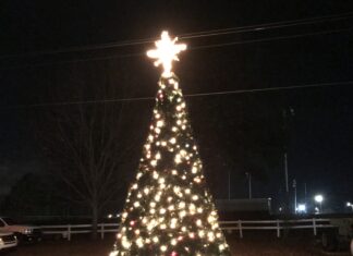 Hanceville’s Tinsel Trail, Tree Lighting, Open House Dec. 4