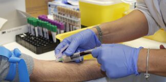 Phlebotomy and Certified Nursing Assistant programs announced at Wallace State