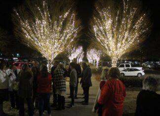2020 Lights of Love program to be virtual