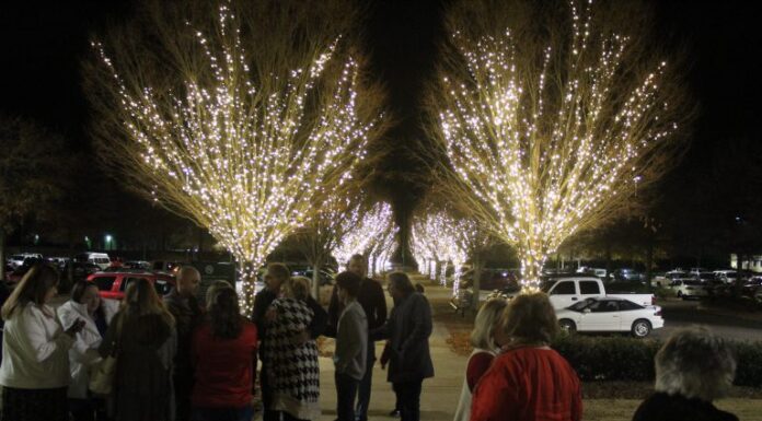 2020 Lights of Love program to be virtual