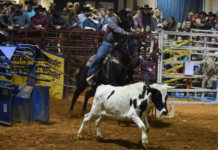 Marchman: Sheriff’s Rodeo going virtual as COVID surges