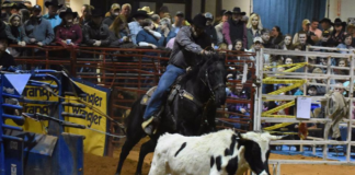 Marchman: Sheriff’s Rodeo going virtual as COVID surges