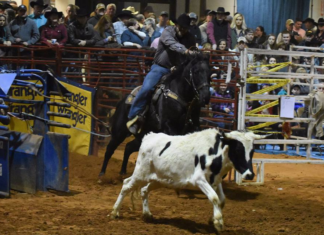Marchman: Sheriff’s Rodeo going virtual as COVID surges
