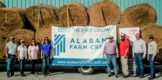 Alabama Farm Credit donates hay to hurricane-hit cattle producers