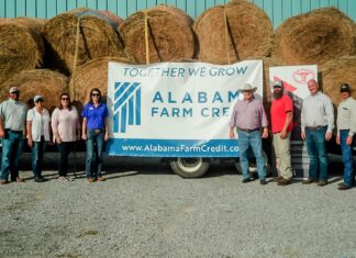 Alabama Farm Credit donates hay to hurricane-hit cattle producers