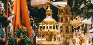 Vote for your favorite!