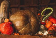 Cullman County, City offices closed Thursday, Friday