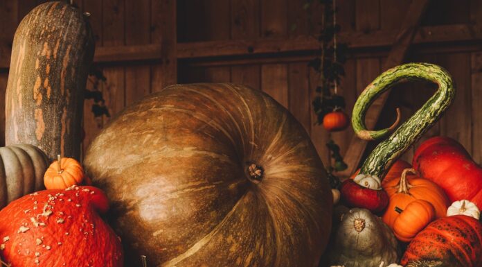 Cullman County, City offices closed Thursday, Friday