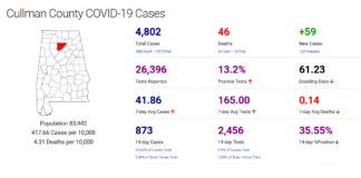 Cullman County COVID-19 update: Dec. 3; record statewide hospitalizations