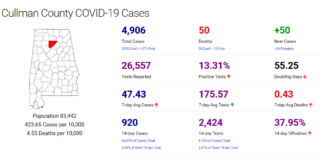 Cullman County COVID-19 update: Dec. 4; record statewide hospitalizations