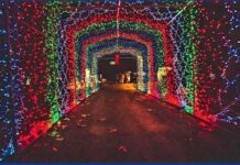 Lighting up the holidays