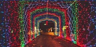 Lighting up the holidays