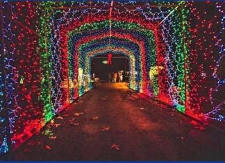 Lighting up the holidays