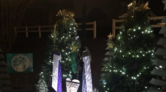 Veterans Park in Hanceville to host 5th Annual Civitan Tinsel Trail