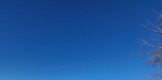 Free public Wi-Fi now available in Garden City Park