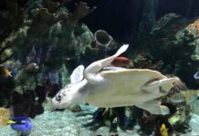 My view: There’s plenty to do!