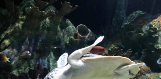 My view: There’s plenty to do!