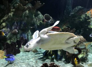 My view: There’s plenty to do!