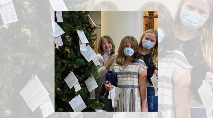 Make the season brighter