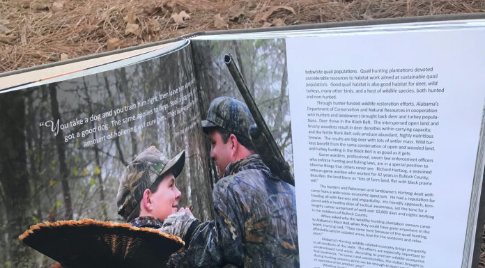 Last-minute Christmas gifts for outdoors enthusiasts