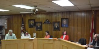 Vinemont council seeking to fill place 3