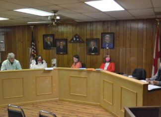 Vinemont council seeking to fill place 3