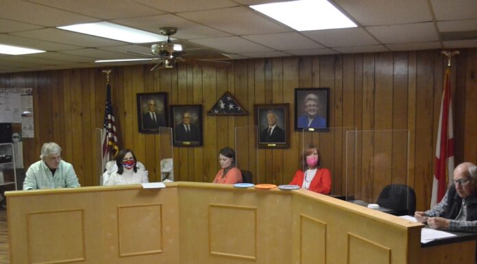 Vinemont council seeking to fill place 3