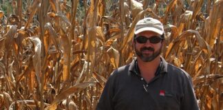 Cullman County farmer Ben Haynes wins state title for corn crop yield