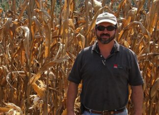 Cullman County farmer Ben Haynes wins state title for corn crop yield