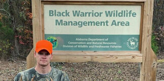 Public land provides opportunities to hunt rut all season