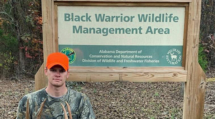 Public land provides opportunities to hunt rut all season