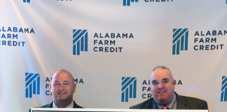 Alabama Farm Credit donates $5K to 4-H Foundation