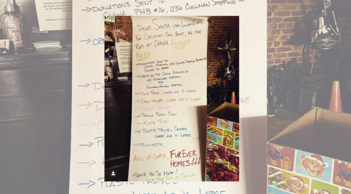 Rumors Deli kicks off Christmas drive to support CAAWA